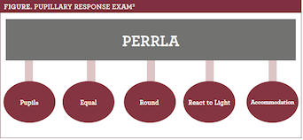 How To Chart Perrla