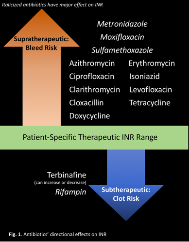 Inr Warfarin Chart